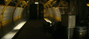 Vault 31 hallway.jpg