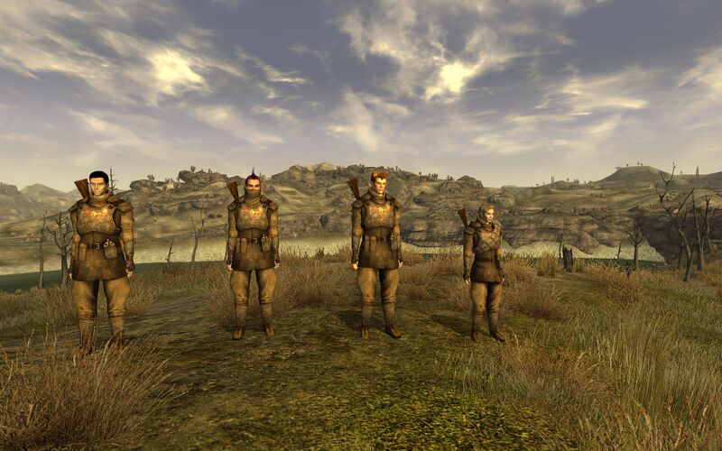 Datei:Flags of our Foul-Ups.jpg