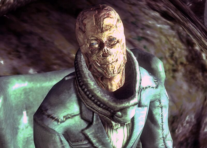 Datei:Plik bugged.jpg