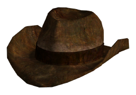 Ranger brown hat.png