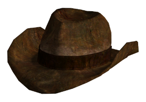 Ranger brown hat.png
