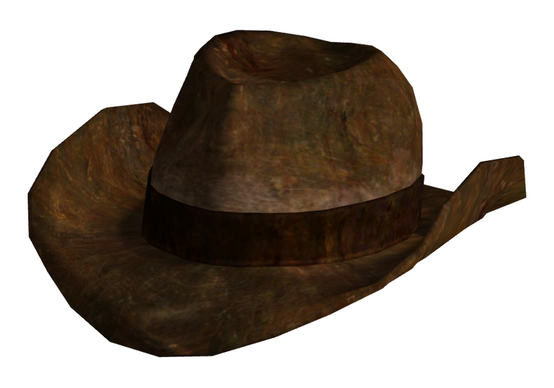 Datei:Ranger brown hat.png
