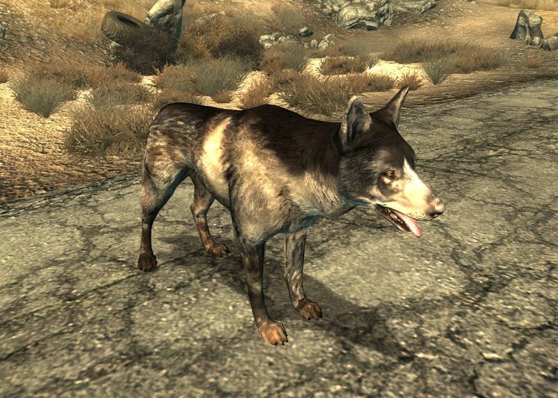 Datei:Dogmeat FO3.jpg