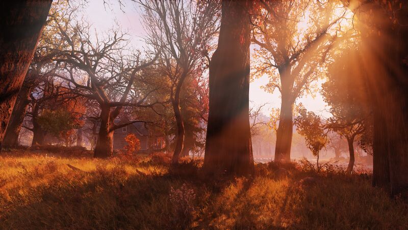 Datei:Ls sunsetfog.jpg