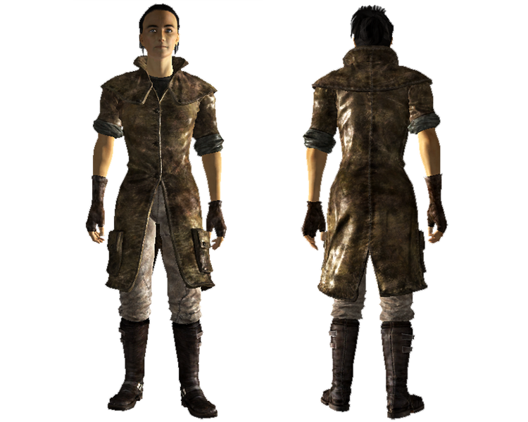 Datei:Regulator duster.png