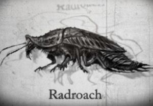 Roachstory.jpg