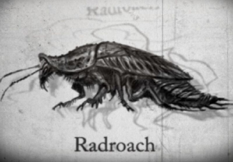 Datei:Roachstory.jpg