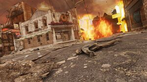 Nw ls mt slocums01.jpg