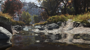 FO76 Fwood Riv 1.png