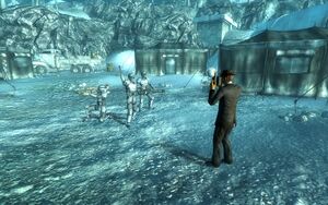 OA - The famous shot.jpg