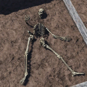 Score s20 camp floordecor skeletonparts c2.webp