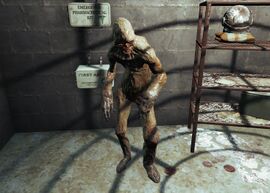 Victoria Gibbons.jpg