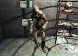 Victoria Gibbons.jpg