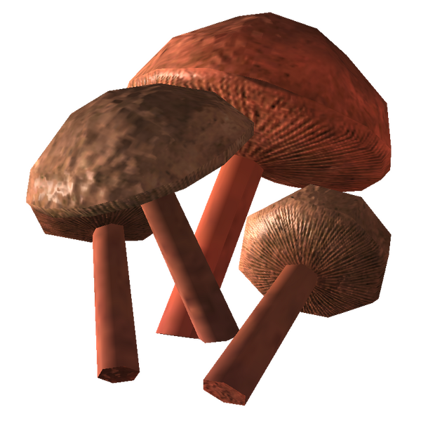 Datei:Cave fungus.png