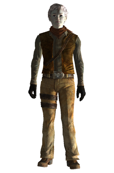 Datei:Ranger vest outfit.png