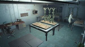 Vault81-Hydroponics-Fallout4.jpg