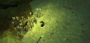 Bloodborne Cave 12.7mm pistol.jpg