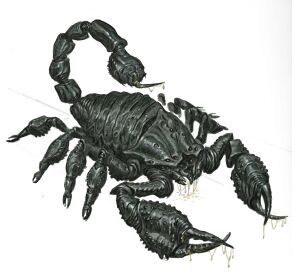Radscorpionconcept1.jpg