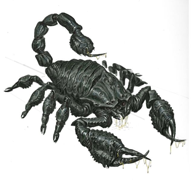 Datei:Radscorpionconcept1.jpg