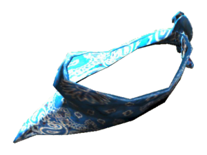 Blue bandana.png