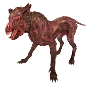 FO4 Mongrel dog.png