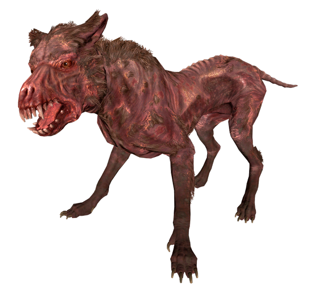 Datei:FO4 Mongrel dog.png