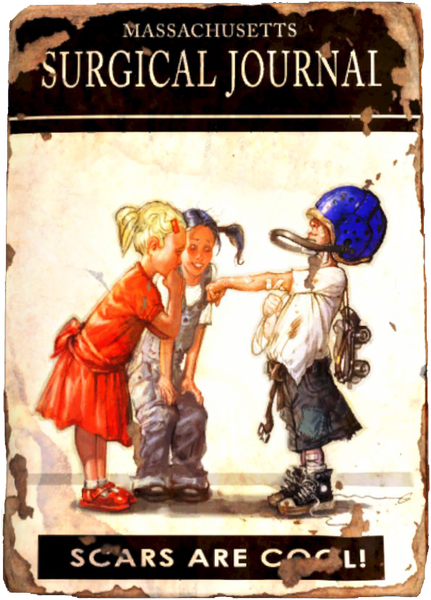 Datei:MSJ scars cover.png