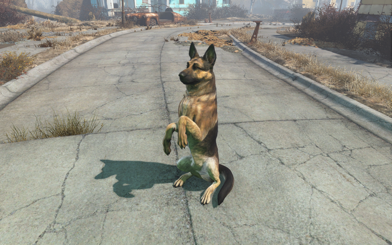 Datei:Fo4 Dogmeat's trick.png