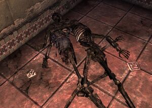 Tampico front desk terminal password.jpg