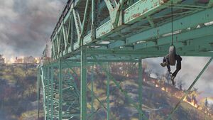 Nw ls bridgehanging.jpg