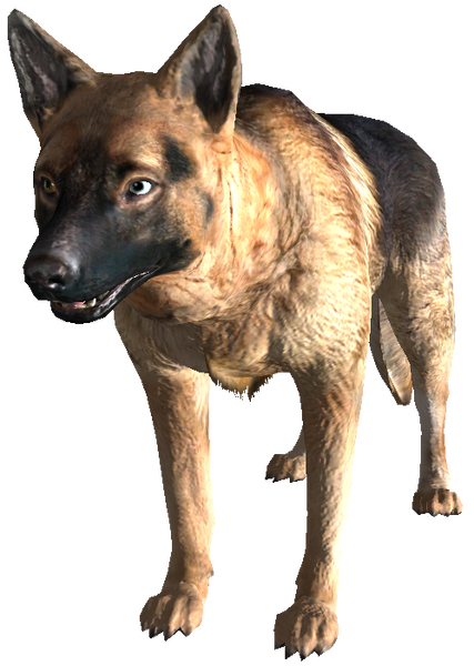 Datei:FO3DogDad.png