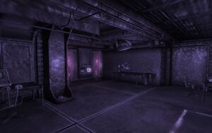 Vault 106 hallucination term1 LQ.jpg