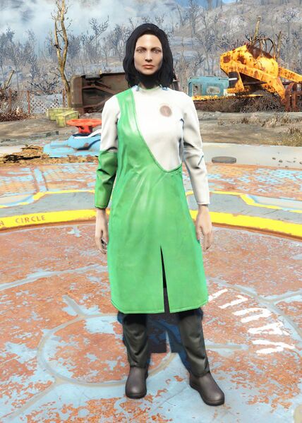 Datei:Institute division head coat green.jpg