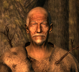 FO3 Birch w hood.png