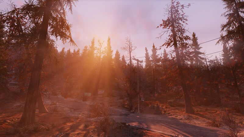 Datei:Ls morningfog.jpg