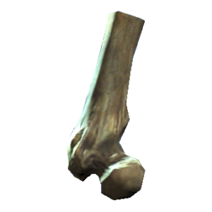 Broken femur.png