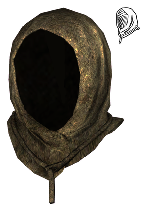 Oasis druid hood.png