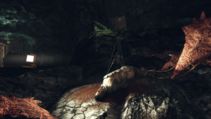 F76 Glassed Caverns BoB.png