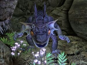 Legendary fire gecko.jpg