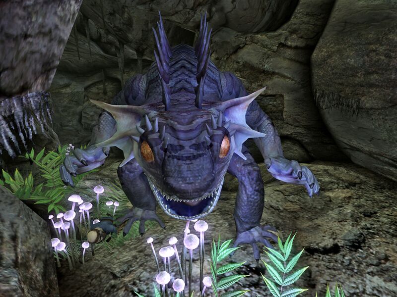 Datei:Legendary fire gecko.jpg