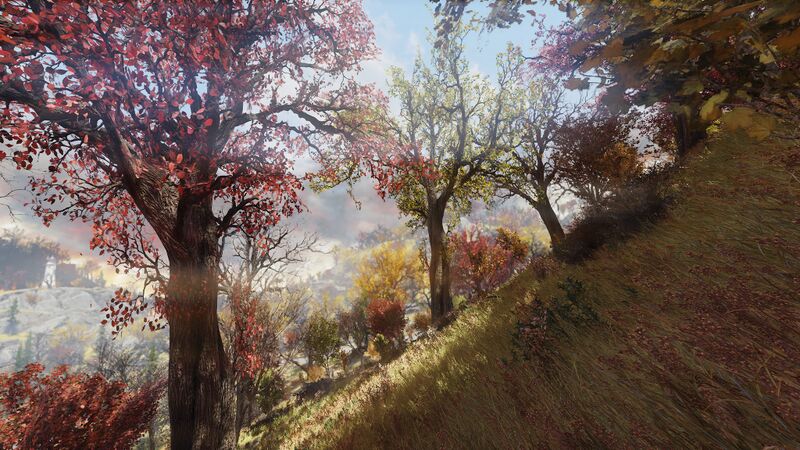 Datei:Nw ls landscape.jpg