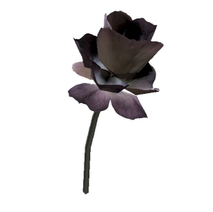 Mutated fern flower.png