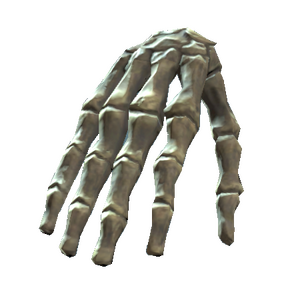 Right hand bones.png
