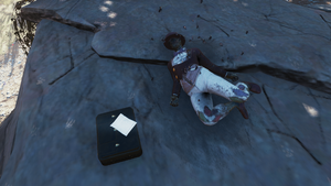 FO76 PTS Susan's cabin 7.png