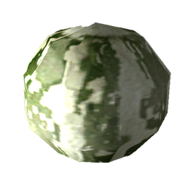 Buffalo gourd seed.png