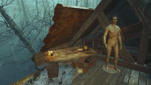 FO4FH Haddock Cove3.png