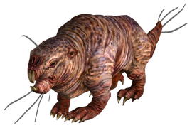 Mole rat FO3.png