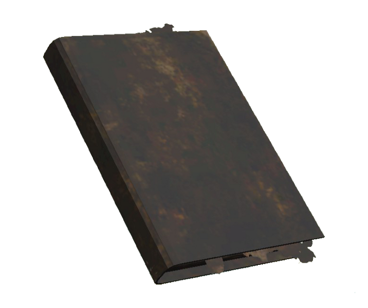 Datei:Burnt book.png