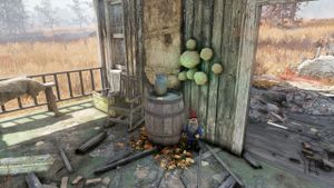 FO76 Mac's farm (2).jpg