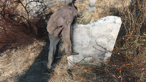 Wildwood cemetery skeleton.png